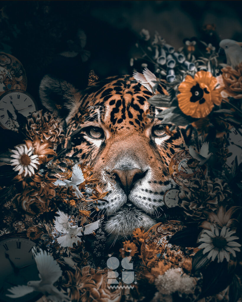 Dark Jaguar