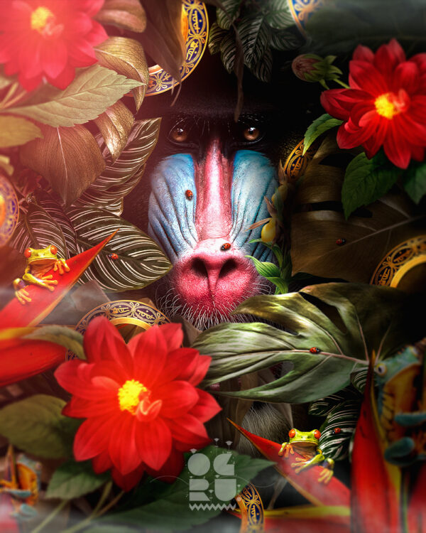 Mandrill Mansion