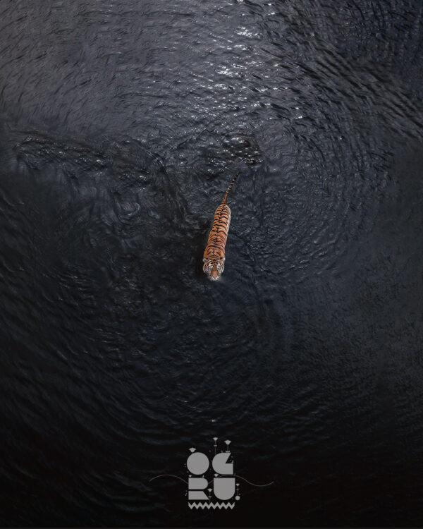Alone in the Deep