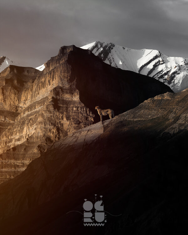 Between the Peaks