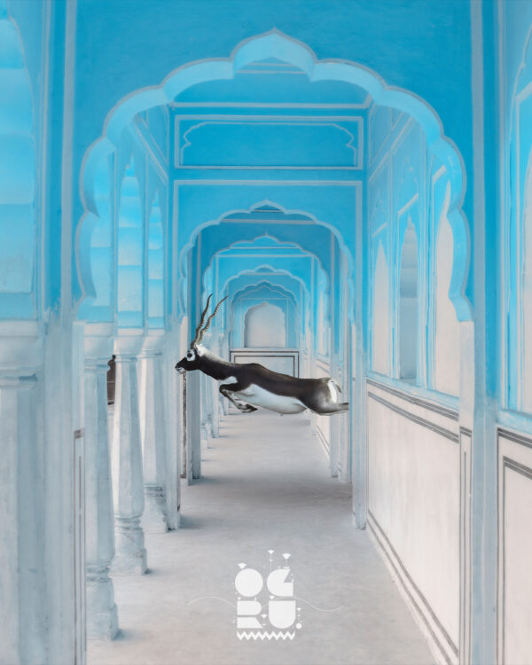 Hawa Mahal Run