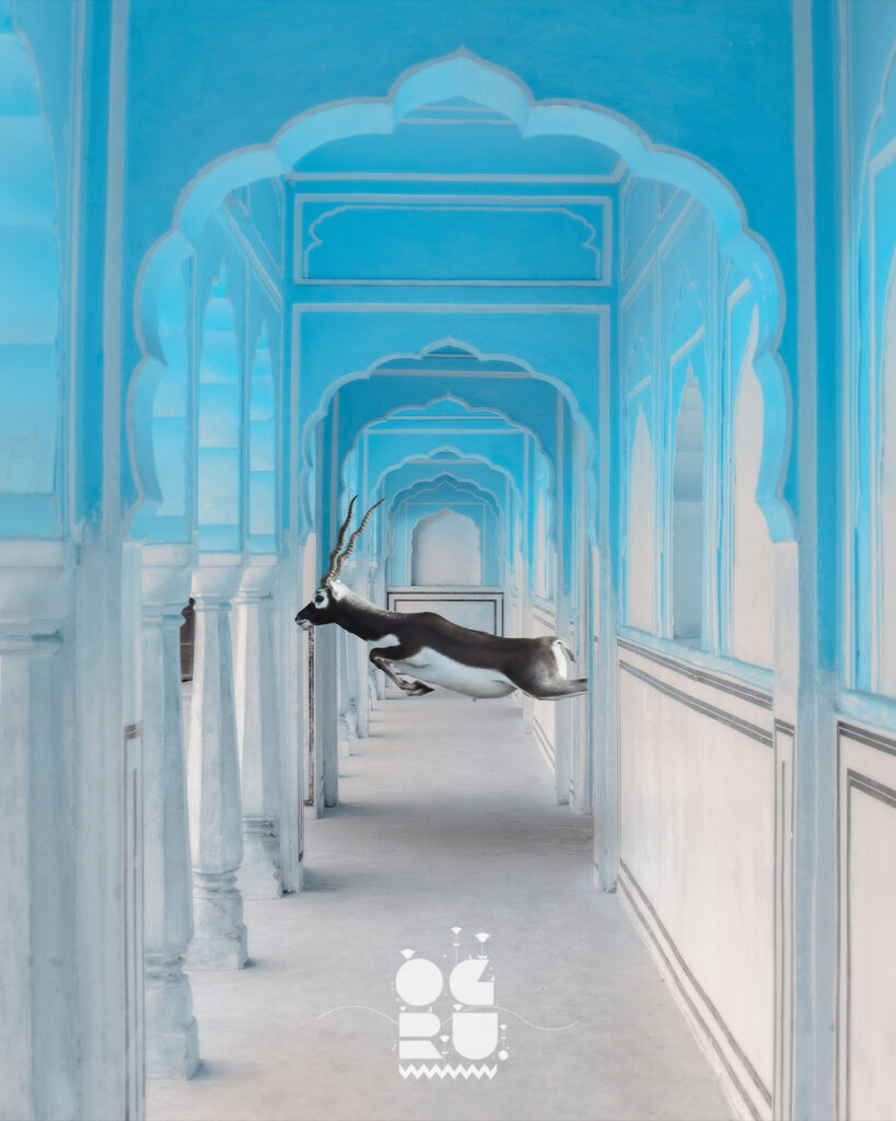 Hawa Mahal Run