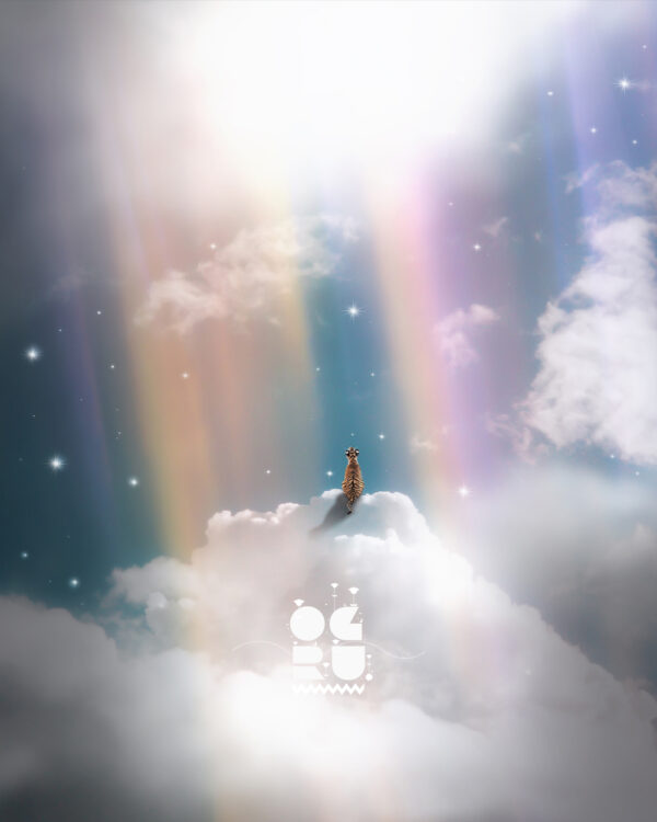 I Look For Hope