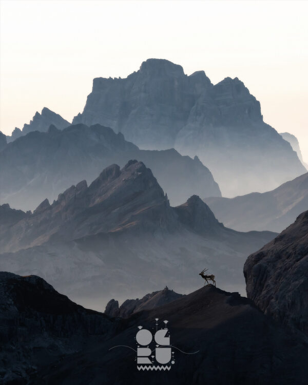 Kingdom of Stone