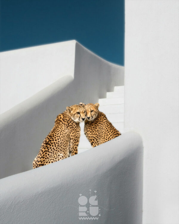 Lovers Paradise
