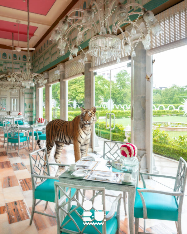 Tea Time Trespasser