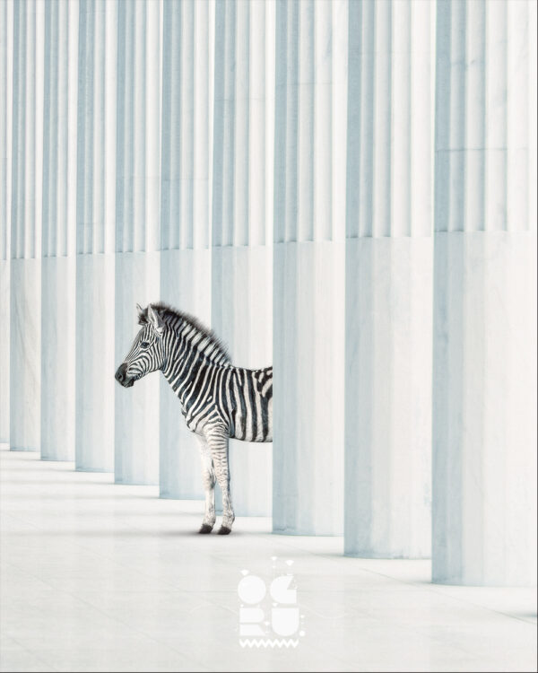 Stripes Among Columns
