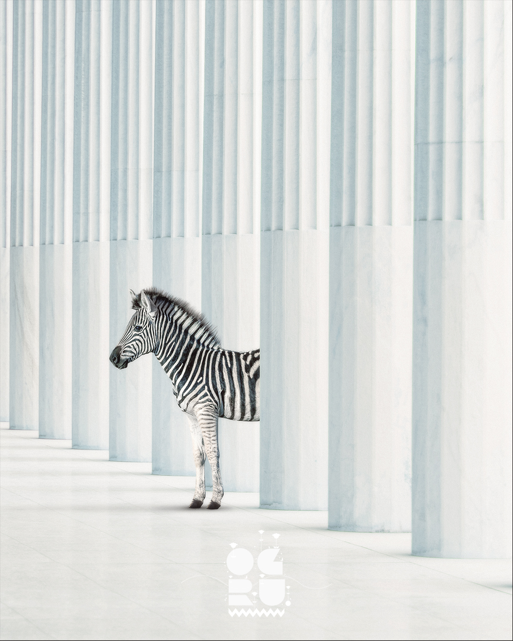 Stripes Among Columns