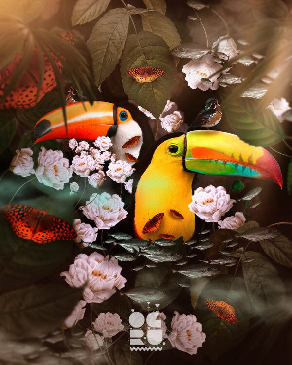 Toucan Surprise