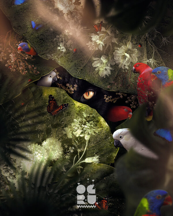 What the Jungle Hides