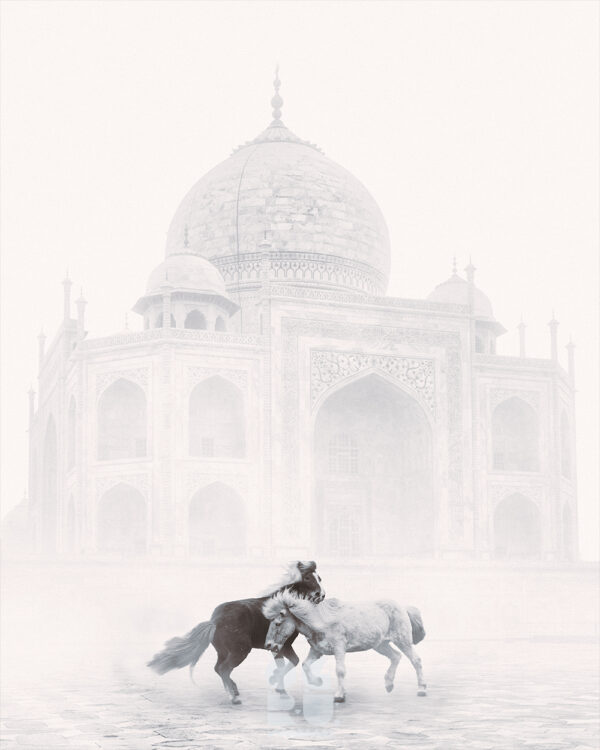 Within The Marble Mist – two horses before the Taj Mahal in mist by OgruStudios