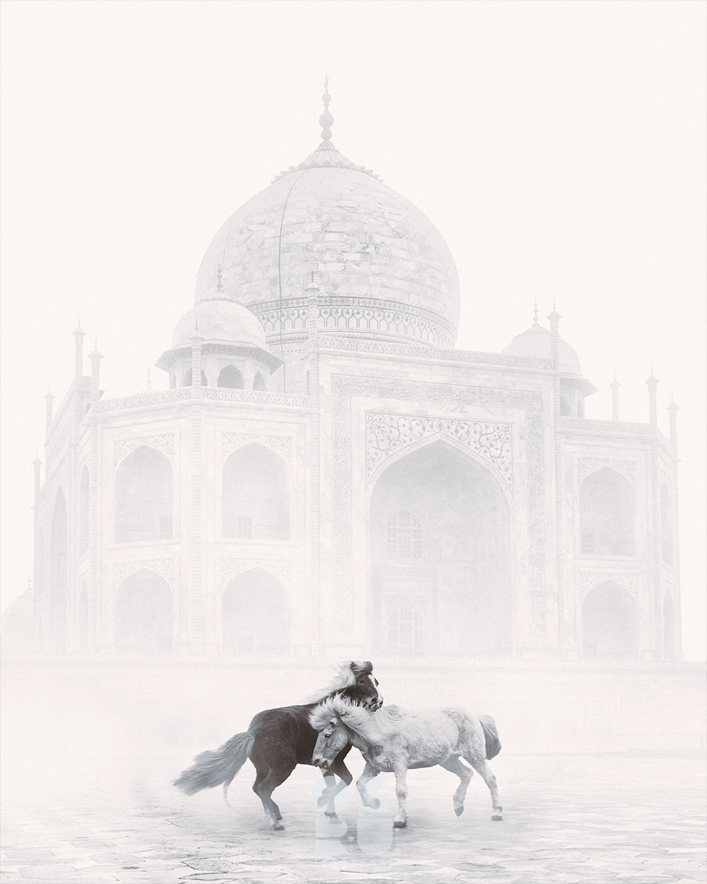 Within The Marble Mist – two horses before the Taj Mahal in mist by OgruStudios