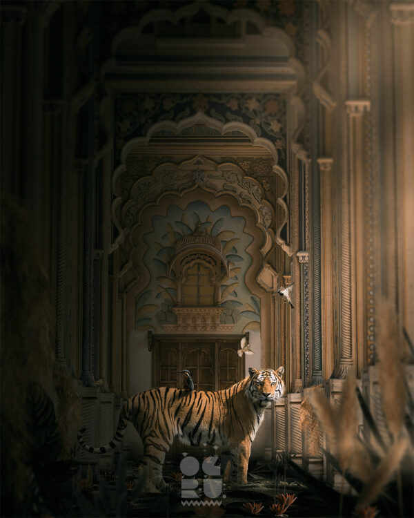 In The Realm Of Rajasthan