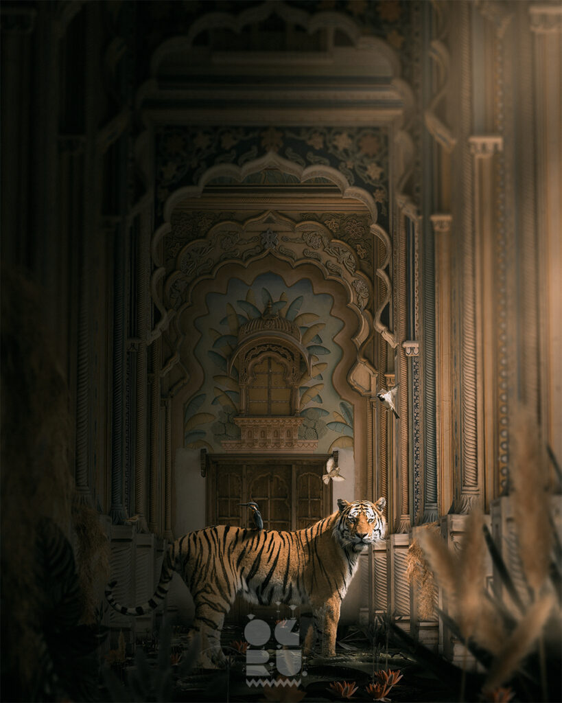 In The Realm Of Rajasthan